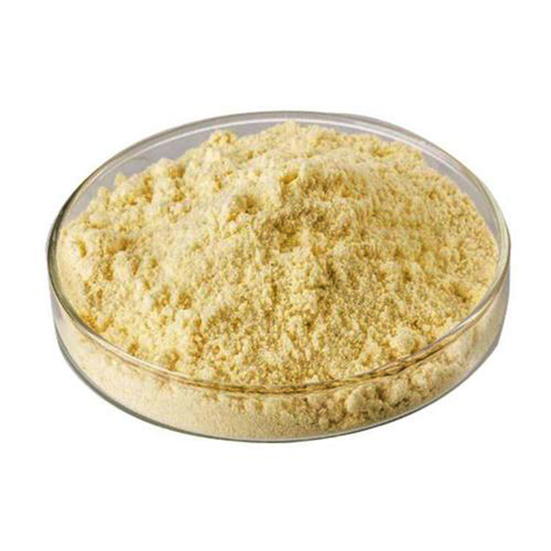 4-Nitrotoluene CAS#99-99-0