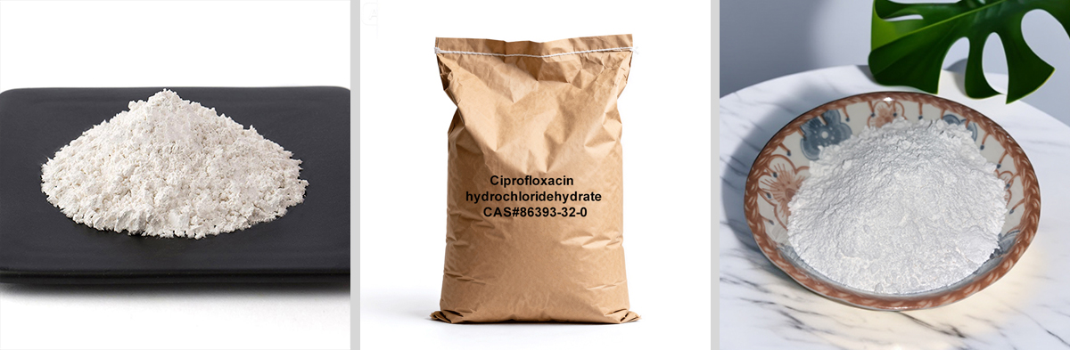 Ciprofloxacinhydrochlorid-Hydrat CAS-Nr. 86393-32-0