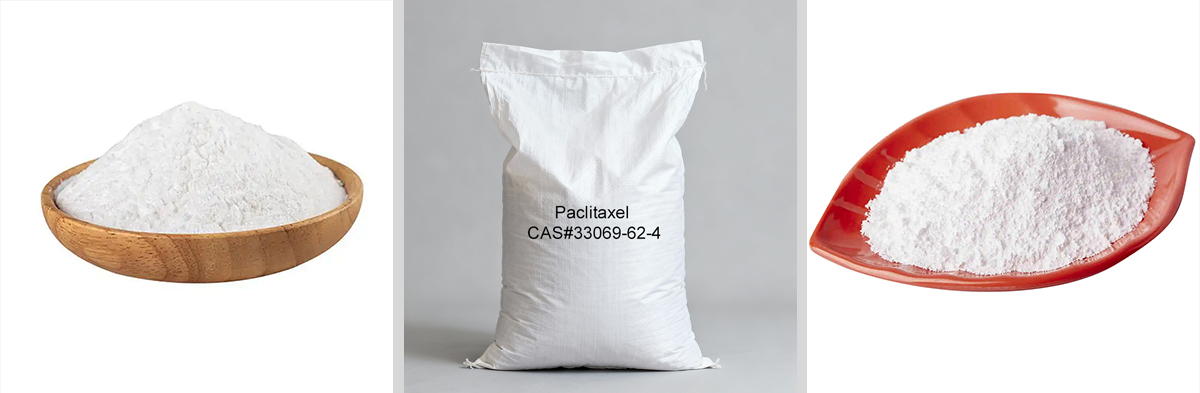 Paclitaxel CAS#33069-62-4