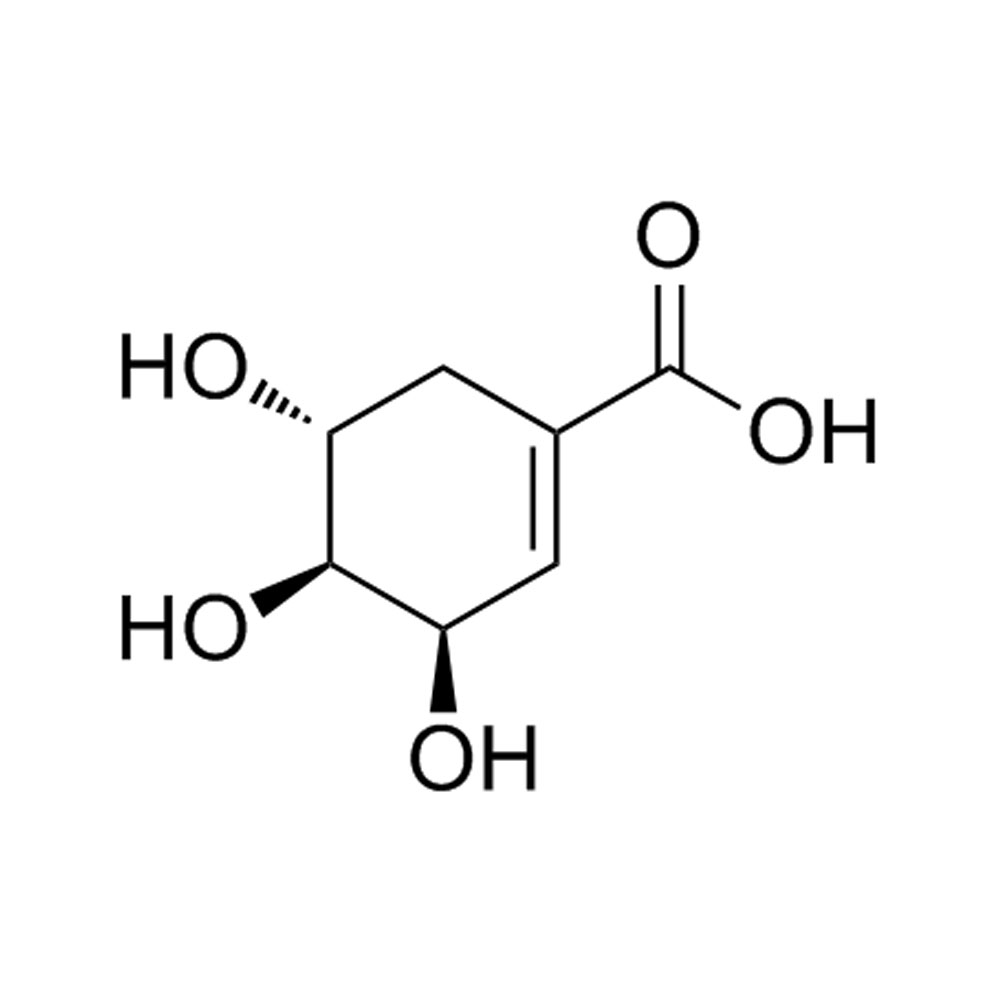 Shikimisäure CAS-Nr. 138-59-0