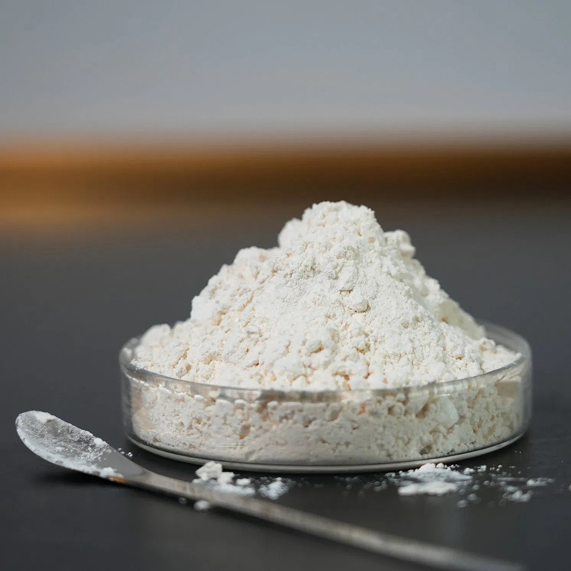 Acido L-glutammico CAS#56-86-0