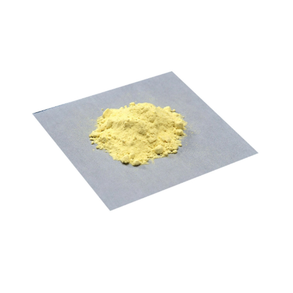 Ginkgo biloba extract CAS#90045-36-6