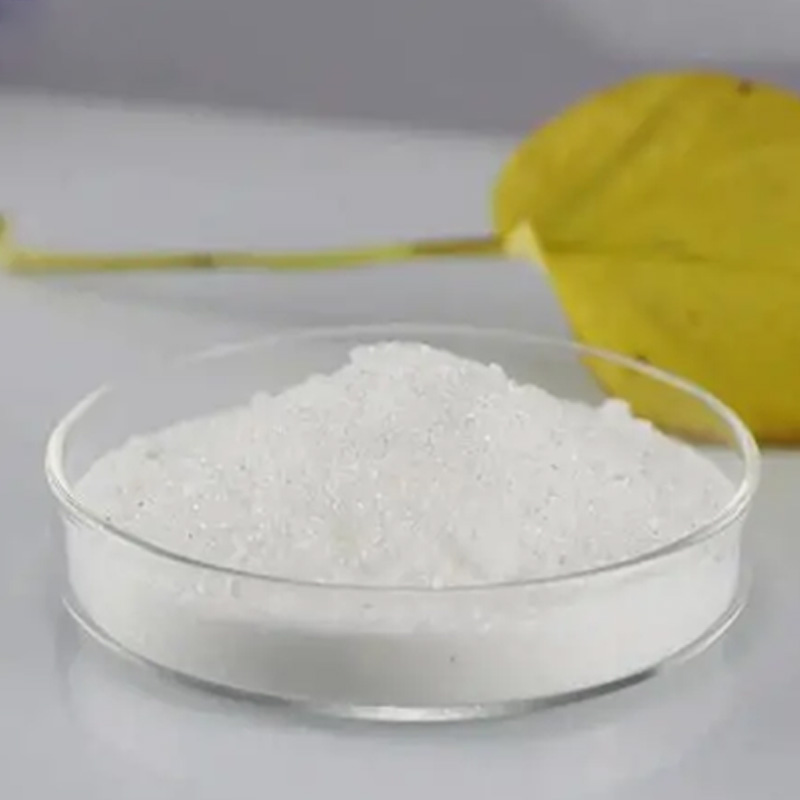 Crospovidone CAS#25249-54-1