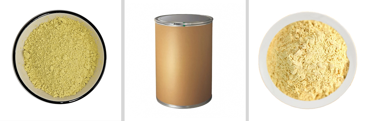 أكسيد البزموت (III) CAS#1304-76-3