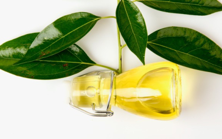 Camphor Oil CAS#8008-51-3