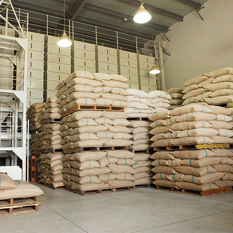 Sulfato de gentamicina CAS#1405-41-0