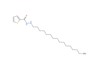 Hydroxypropyl Methyl Cellulose
