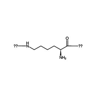 Epsilon-polilizin CAS # 28211-04-3